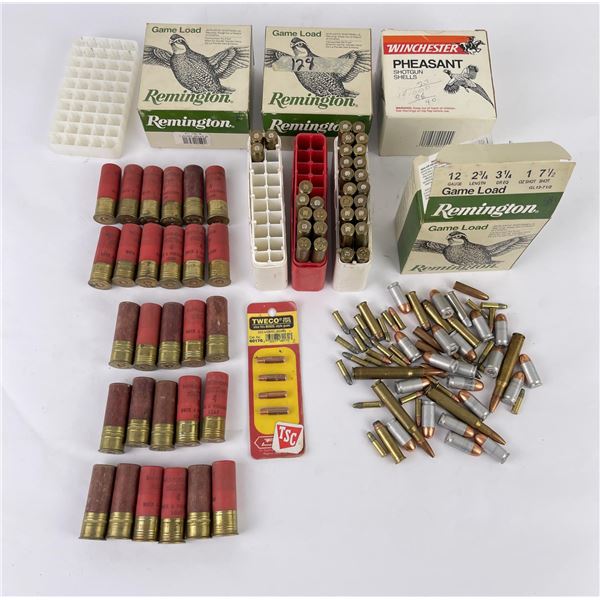 Assortment of Ammo