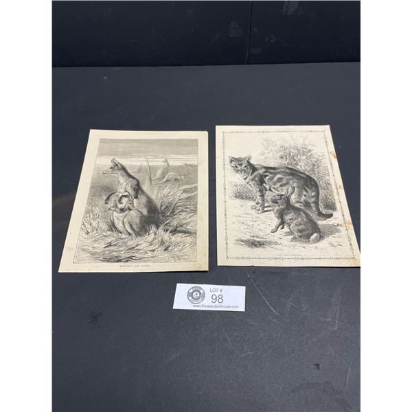 Lot of 2 1880s Steel Engravings, Cats/Kangaroos