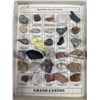 Image 2 : Grand Canyon Desert Specimens Display Box - Complete