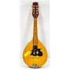 Image 1 : MANDOLIN IBANEZ WITH SOFT CASE