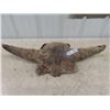 Image 1 : Buffalo Skull 29" Wide