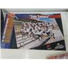 Image 5 : (RD) 19 Winnipeg Blue Bombers Posters- Multiple Duplicates