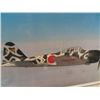 Image 2 : Framed Picture Chost Squadron Mitsubishi A6M-5 Zero   23.5" x 35"