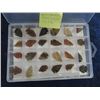 Image 2 : 36 Arrow Heads
