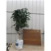 Image 1 : Artificial Plant 7' Tall & Folding Table