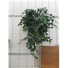 Image 2 : Artificial Plant 7' Tall & Folding Table