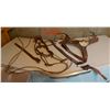 Image 1 : Riding accessories incl belts, rope, hardware, engraved buckles, chains