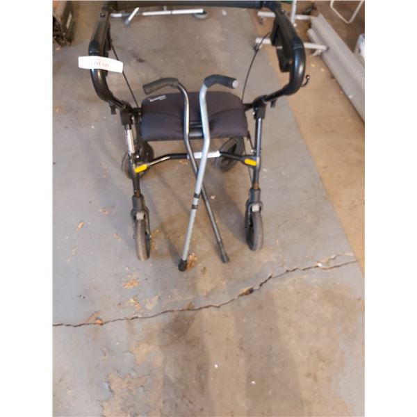 Evolution Walker, 2 canes