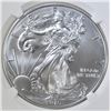 Image 2 : 2015-W BURNISHED SILVER EAGLE, NGC MS-69
