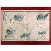 Image 1 : Rare Original 1876 Census Map, U.S. Agricultural Production & Population Diversity