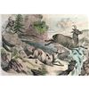 Image 1 : 18thc Handcolored Engraving, Chamois Hunting