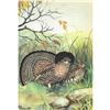 Image 1 : 1920's Ruffed Grouse Color Lithograph Print