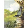 Image 1 : 1920's Red-Breasted Nuthatch Color Lithograph Print