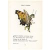 Image 2 : 1914 Butterfly Babies Lithograph, Gray Comma