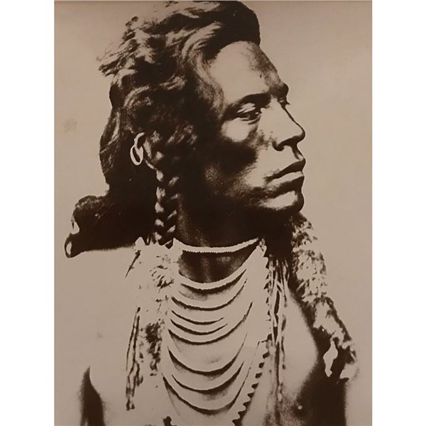 Native American History, Curly, Custer Scout Photo Print