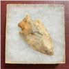 Image 1 : Large Archaic Native Amerian Arrowhead Artifact