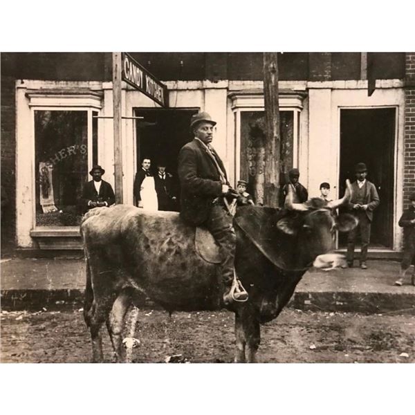 Early 1900's Man Riding Bull Photo Print