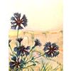 Image 1 : 1920's Bachelor's Button ( Corn Flower ) Color Lithograph Print