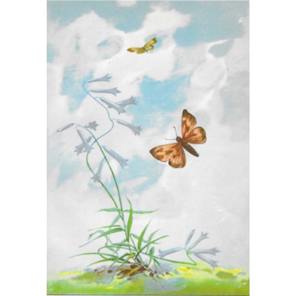 1920's Long Dash Butterfly Color Lithograph Print