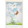 Image 2 : 1920's Long Dash Butterfly Color Lithograph Print