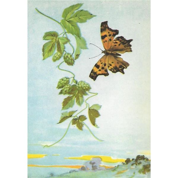 1920's Hop-Merchant Butterfly Color Lithograph Print