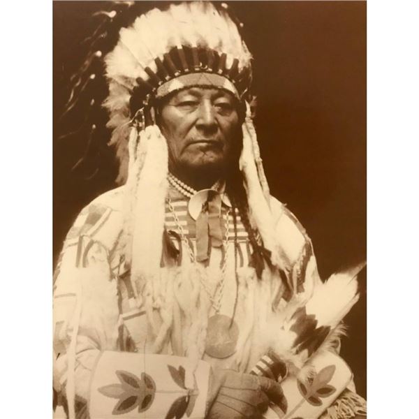 Chief Plenty Coups, Crow Nation Native American Photo Print