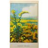 Image 3 : 1920's Goldenrod, Color Lithograph Print