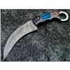 Image 1 : Hand Forged Damascus Steel Karambit Hunting Knife