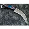 Image 2 : Hand Forged Damascus Steel Karambit Hunting Knife