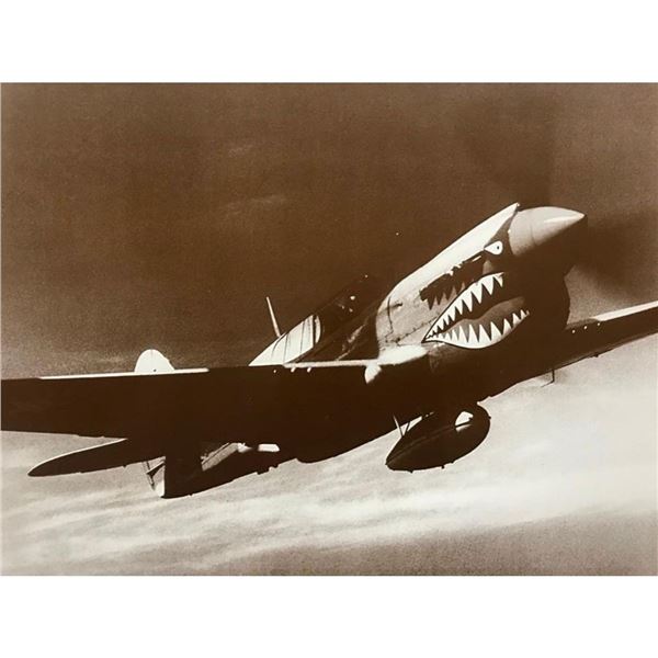 World War II P-40 Warhawk Photo Print