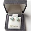 Image 2 : 14K  VIVID BLUE GREEN MOISSANITE(2CT) EARRINGS
