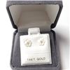 Image 2 : 14K  DIAMOND 2IN1(0.02CT) EARRINGS