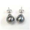 Image 1 : SILVER SOUTH SEA PEARL EARRINGS