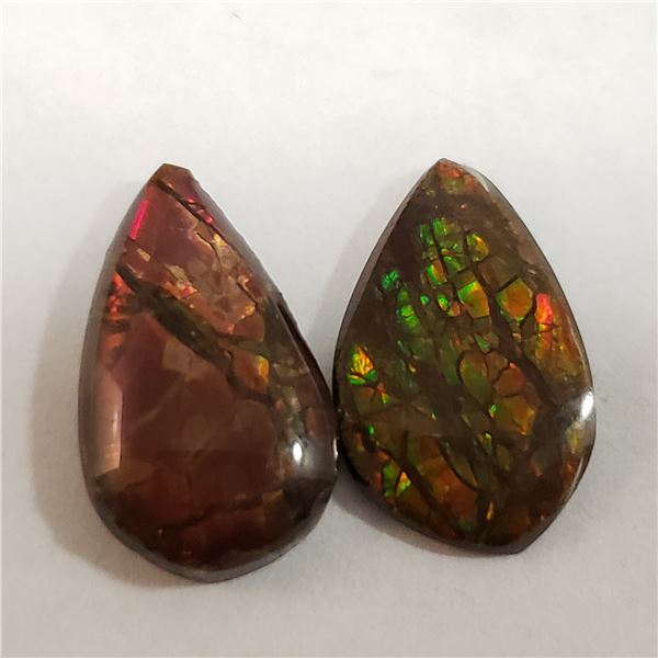 CANADIAN AMMOLITE