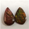 Image 1 : CANADIAN AMMOLITE