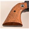 Image 4 : Ruger Blackhawk .357 Revolver