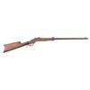 Image 1 : J. Stevens Rolling Block 25.20 Rifle