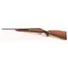 Image 2 : TIKKA M595 .22-250 Rem Bolt Action Rifle