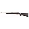 Image 2 : Ruger Model 10/22 Carbine .22LR