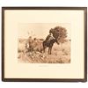 Image 1 : "Still in the Sun" Framed Cowboy Photo Print
