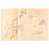 Image 10 : Set of 10 Rare Texas Military Maps