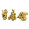 Image 1 : Lot of Yukon Gold Nuggets 2.50 Grams Total Weight