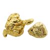 Image 1 : Lot of Yukon Gold Nuggets 8.00 Grams Total Weight