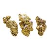 Image 1 : Lot of 2.91 Gram Total Weight Yukon Gold Nuggets