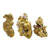 Image 2 : Lot of 2.91 Gram Total Weight Yukon Gold Nuggets