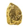 Image 2 : 305.25 Gram Yukon Gold Nugget