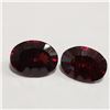 Image 1 : GARNET(2.8CT)