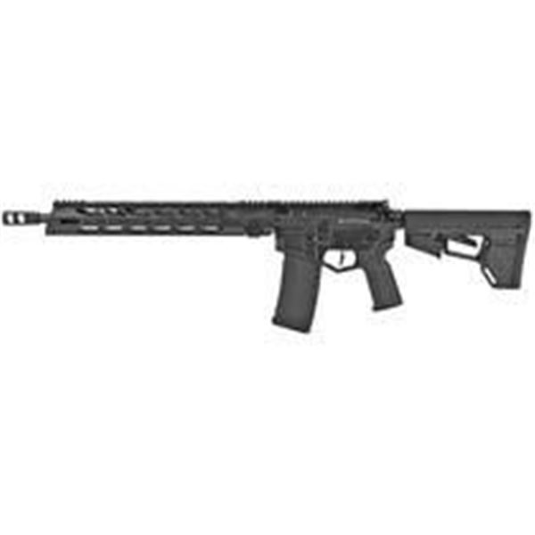 DBF DB15 300BLK 16  MLOK 30RD BLK