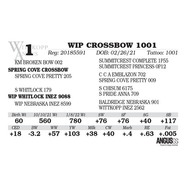 WIP CROSSBOW 1001