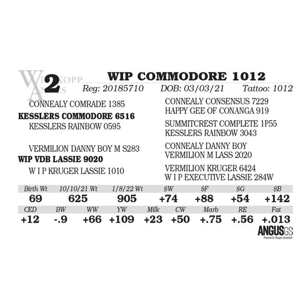 WIP COMMODORE 1012